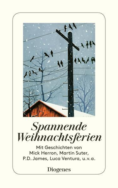 Spannende Weihnachtsferien (Mängelexemplar)