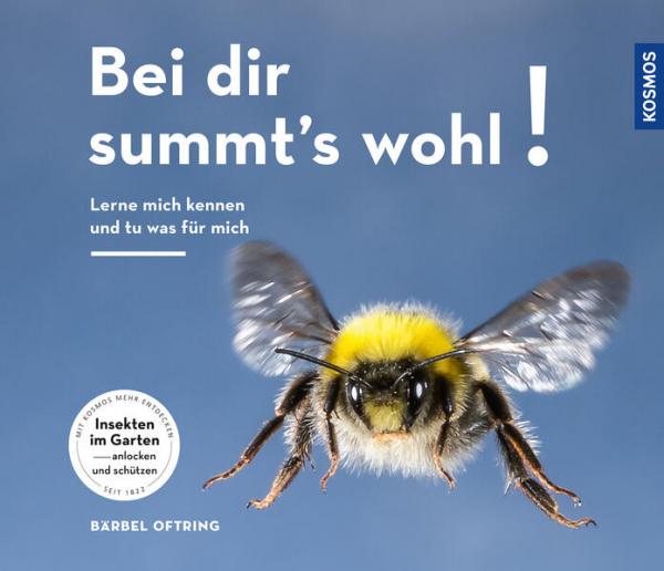 Bei Dir summts wohl